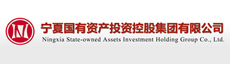 宁夏国有资产投资控股集团有限公司